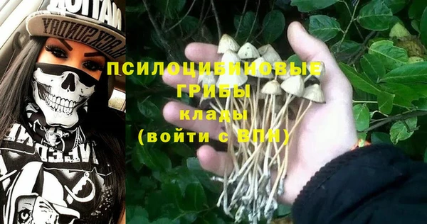 PSILOCYBIN Абинск