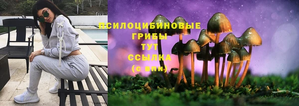 скорость Абаза